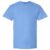 Carolina Blue