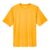 Sport Athletic Gold