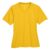 Sport Athletic Gold
